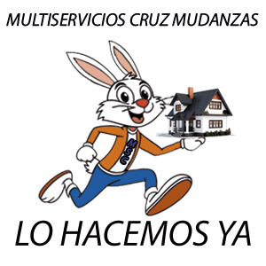 MULTISERVICIOS CRUZ